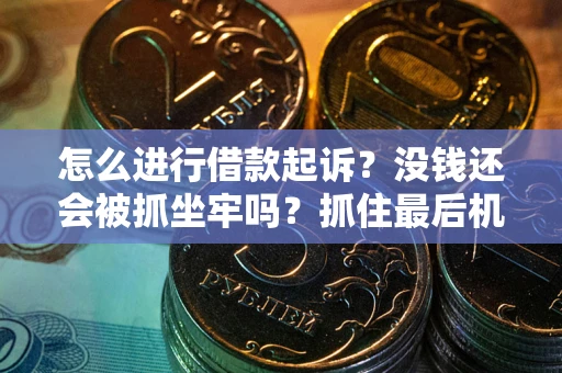 北京怎么进行借款起诉？没钱还会被抓坐牢吗？抓住最后机会！