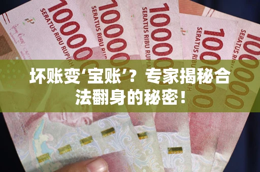 北京坏账变‘宝账’？专家揭秘合法翻身的秘密！