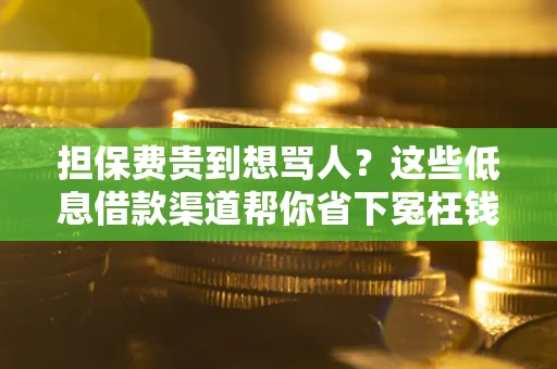 北京担保费贵到想骂人？这些低息借款渠道帮你省下冤枉钱
