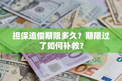 北京担保追偿期限多久？期限过了如何补救？