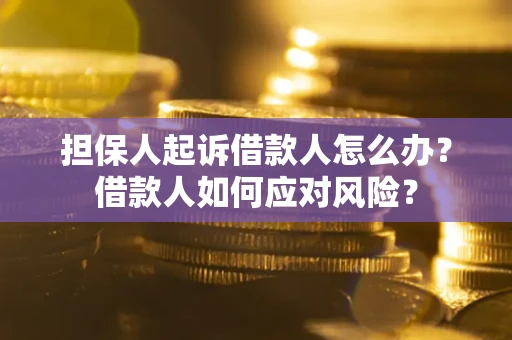 北京担保人起诉借款人怎么办？借款人如何应对风险？