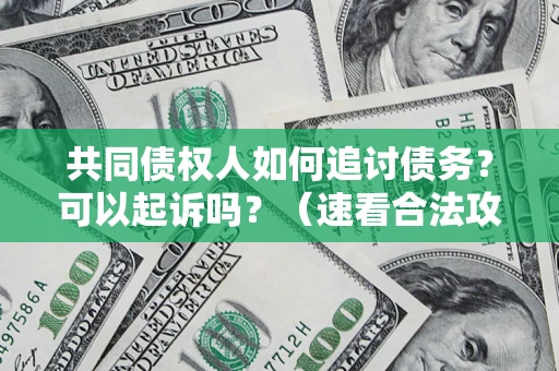北京共同债权人如何追讨债务？可以起诉吗？（速看合法攻略）